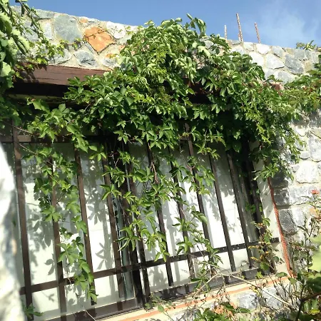 Stone House Among Trees Galatás